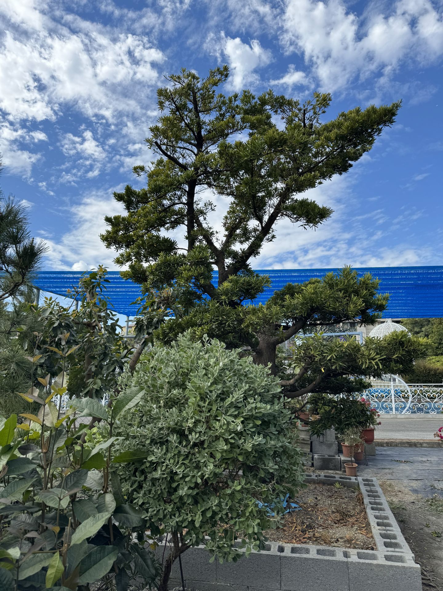 香山園藝庭園景觀